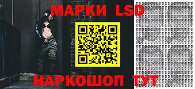 МДПВ Бийск