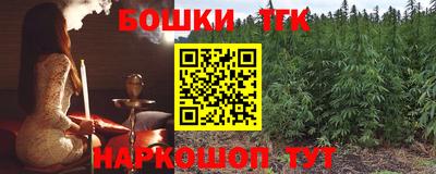 МДПВ Бийск