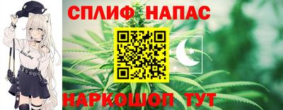 МДПВ Бийск