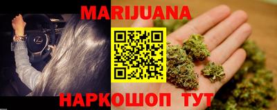 МДПВ Бийск