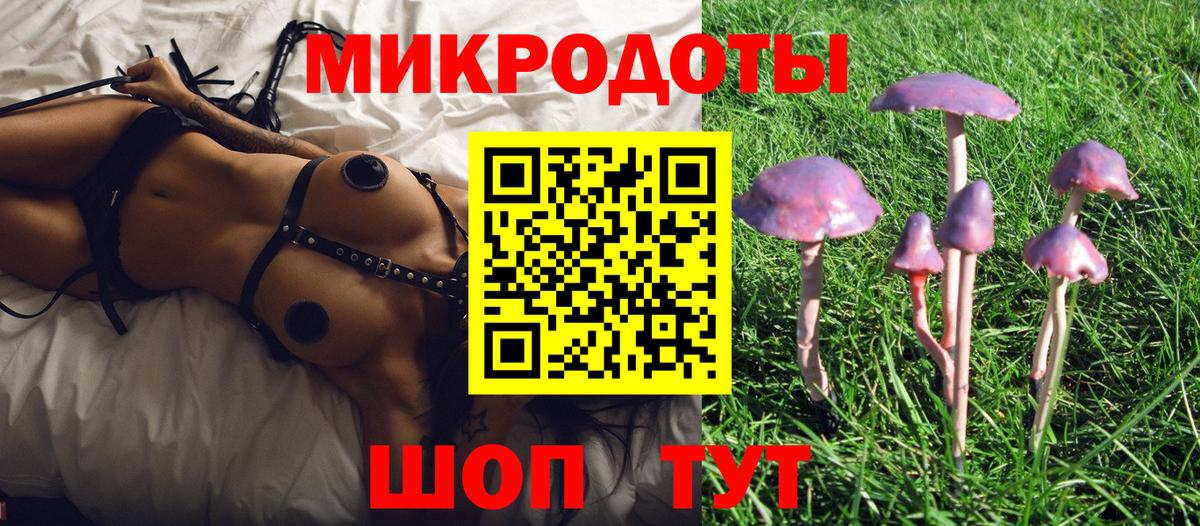 Бахчисарай  Псилоцибиновые грибы GOLDEN TEACHER  Вход с VPN 