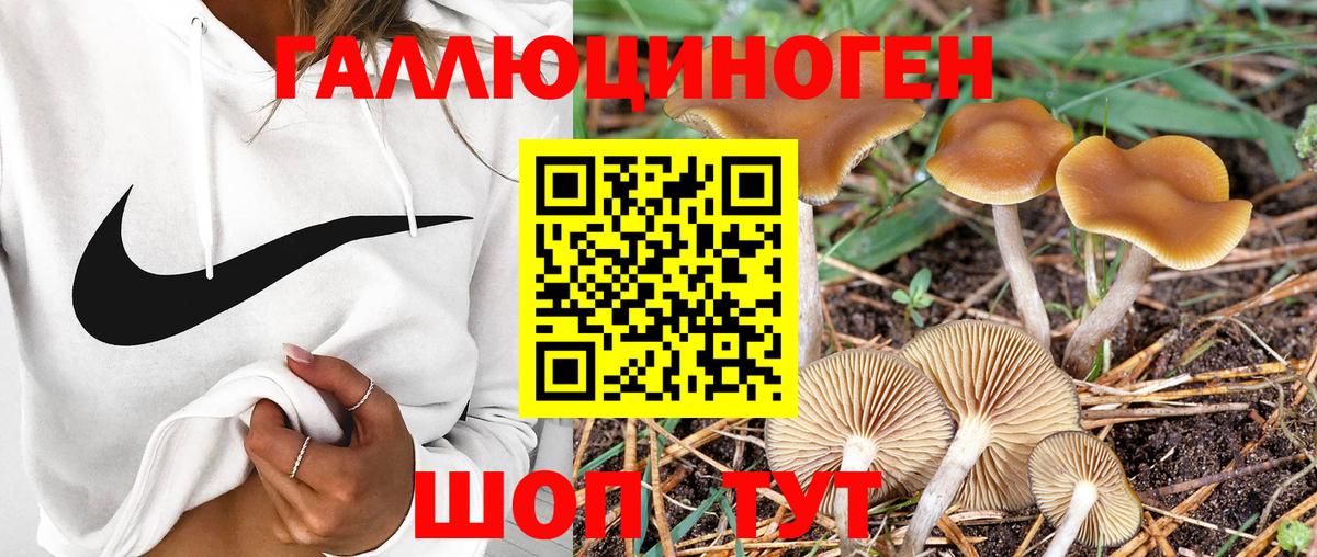 Псилоцибиновые грибы мухоморы Бахчисарай